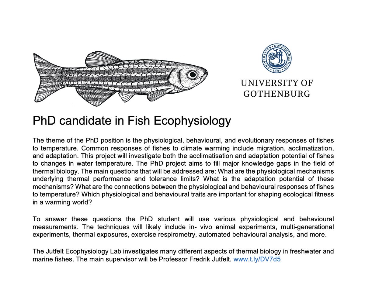 FredrikJutfelt's tweet photo. 📣I will soon announce two fully funded PhD positions in fish ecophysiology  at @goteborgsuni @Naturvetenskap. Start date late this year and I’ll post announcement here. 

Tell your friends! 📣 https://t.co/D5g7RNZAjc
