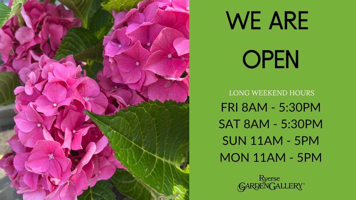 Get your gardening fix this Long Weekend!  So many new plants arrived yesterday and the great deals are incredible!