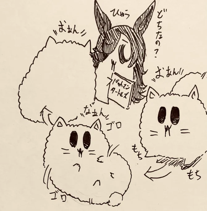 ビースト覚醒(夜中のもち猫さん)