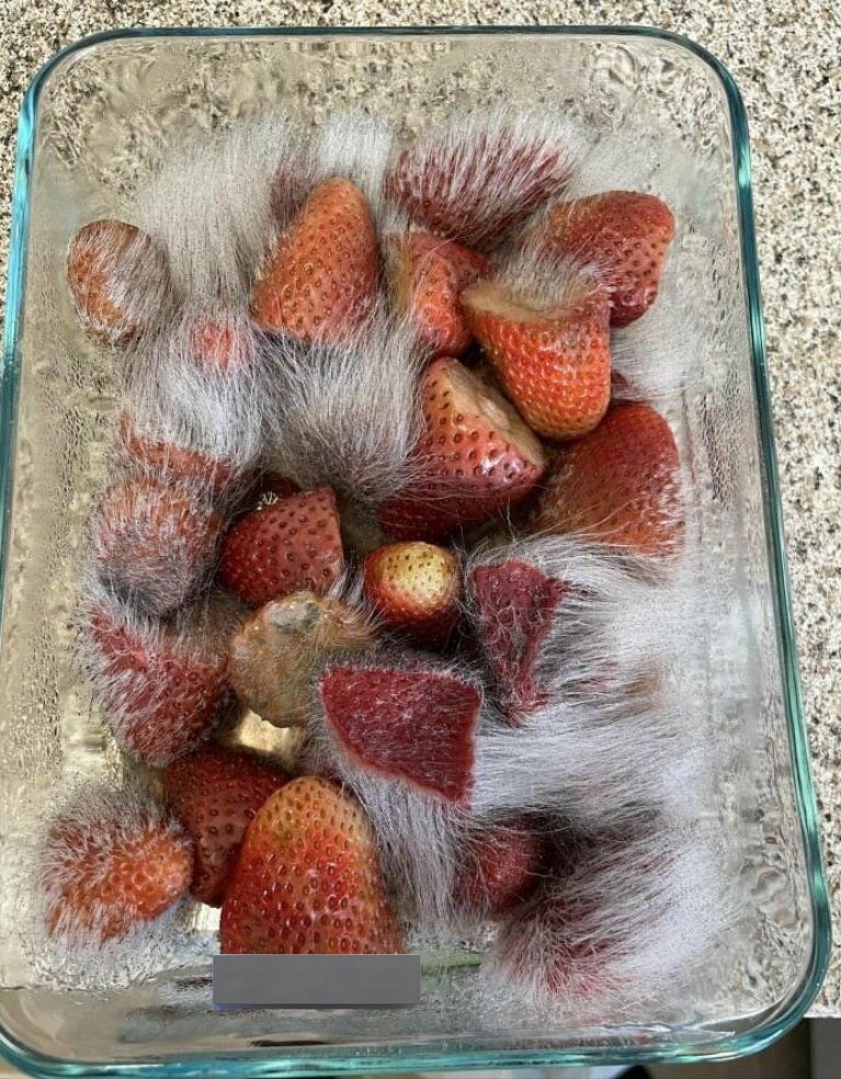 fuckirsara's tweet photo. Ohaa cileklerime bakin 🥺🥺 https://t.co/hYwMpOAXRc