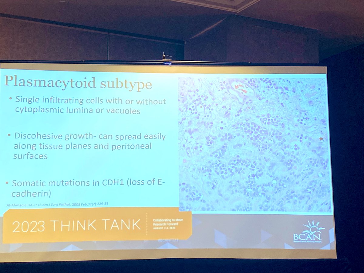 Andrea Apolo, M.D. tweet media