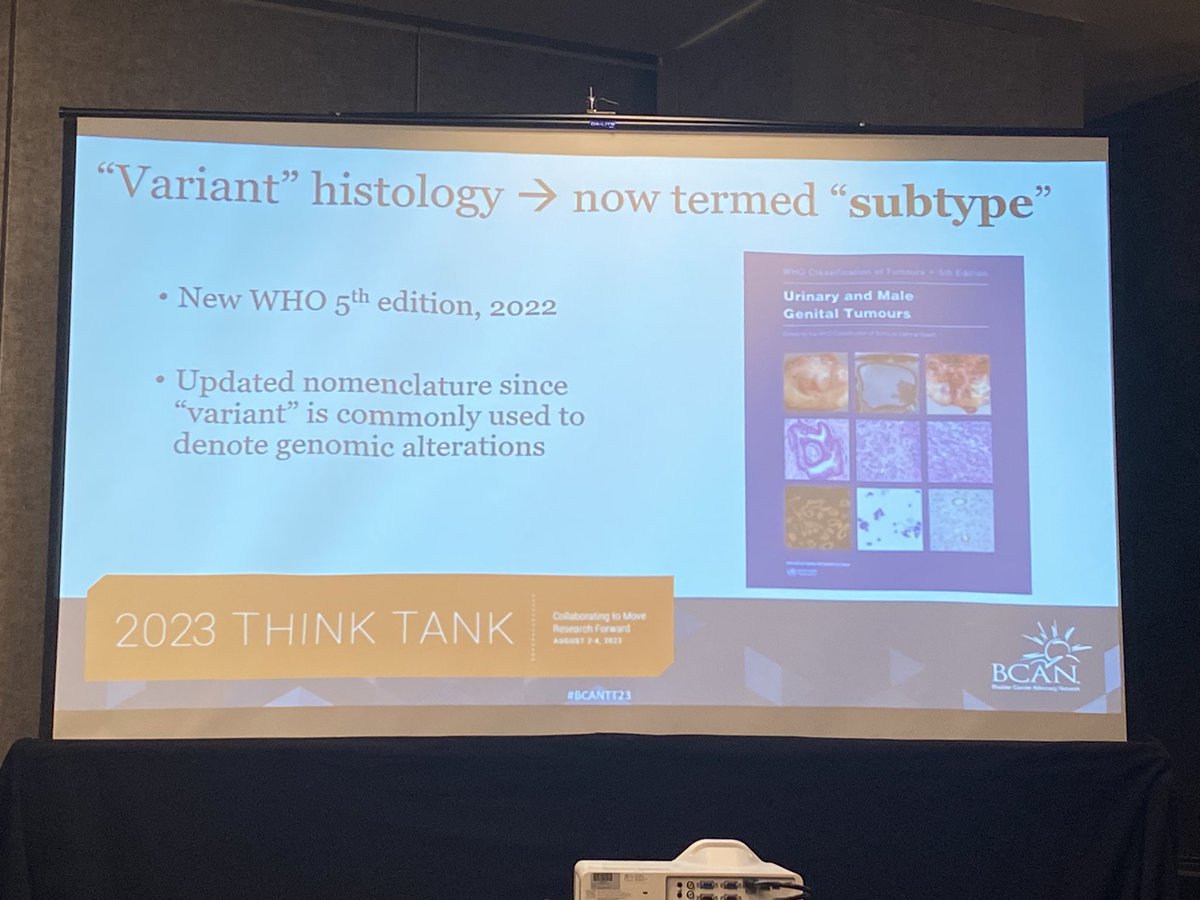 Andrea Apolo, M.D. tweet media