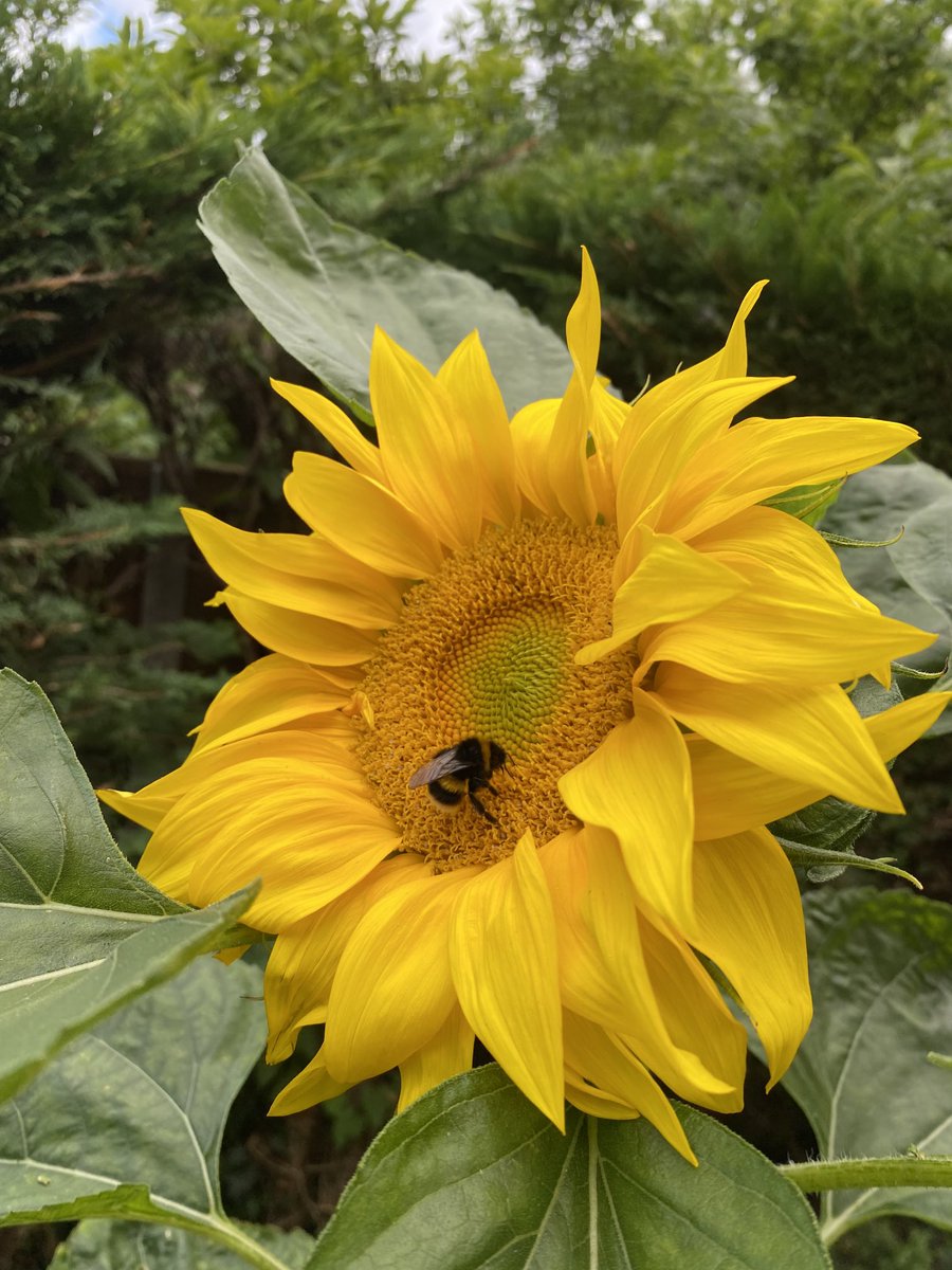 WildHethersett tweet media