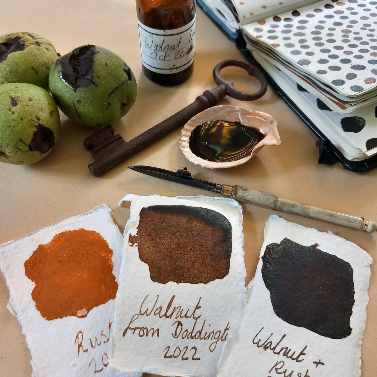 Experiments in alchemy with walnuts and rust.
#inkmaking #ink #inksketch #foragedink #foragedpigments #rustink #inkmaking #dorsetartist #makingink #natureart #natureartist #abigailwhelanartist #artiststudio #foraged #artprocess  #walnutink #freshwalnuts #alchemy #foraging