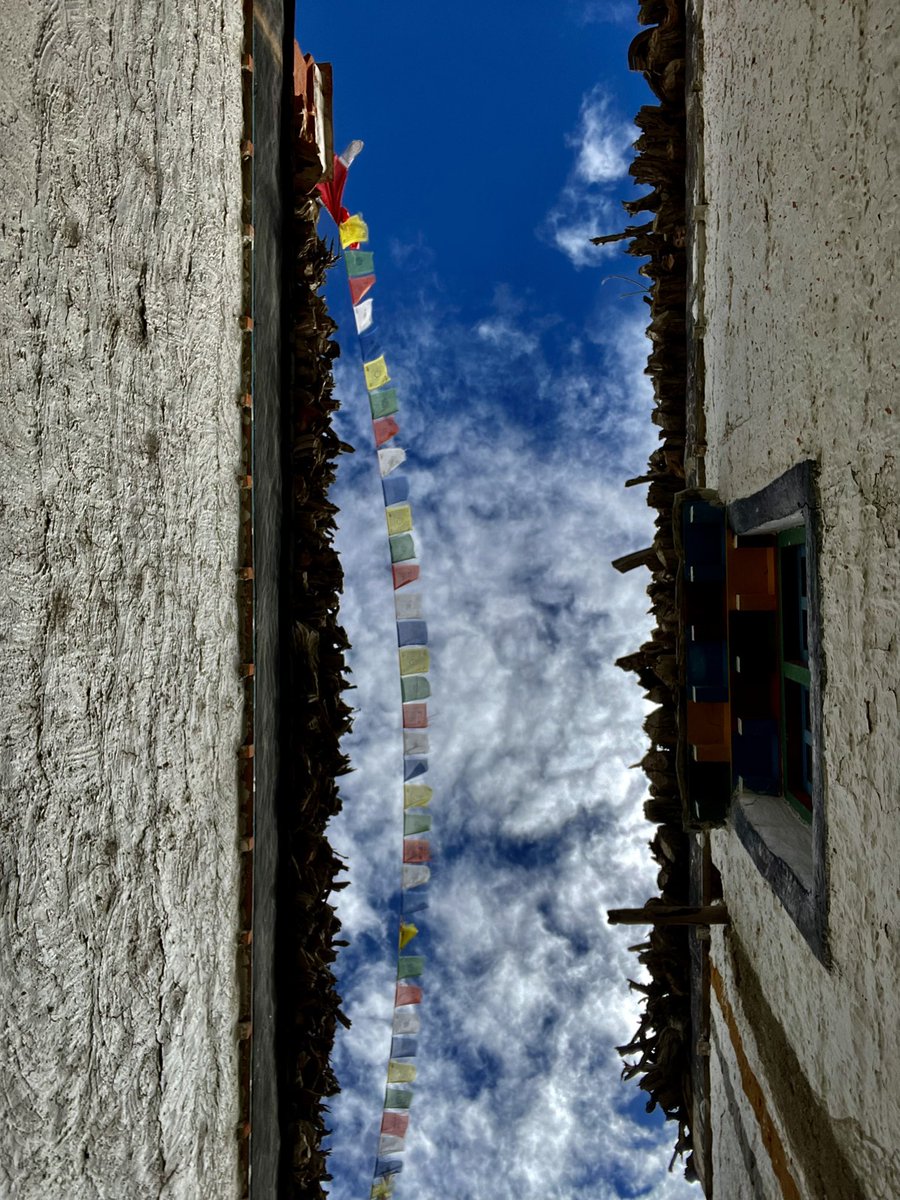 doctroptard's tweet image. « Le ciel est par-dessus le toit… »