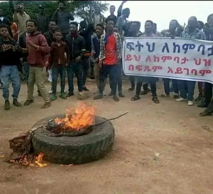RasAsteraw's tweet photo. ሀገሪቱ በተለያየ አካባቢ በኦነግ መራሾ አስተዳደር በቃኝ ብላለች ይሄ ደሞ የከምባታ ህዝብ ተስፋፊውን ኦሮሙማ ስርዓት በመቃወም አደባባይ የወጣ ህዝብ ነው።

ህዝብ በቃኝ ብሎሀል አትክልቱን ታስተዳድረው እንደሆነ እናያለን!!! https://t.co/3ribkoMAgX