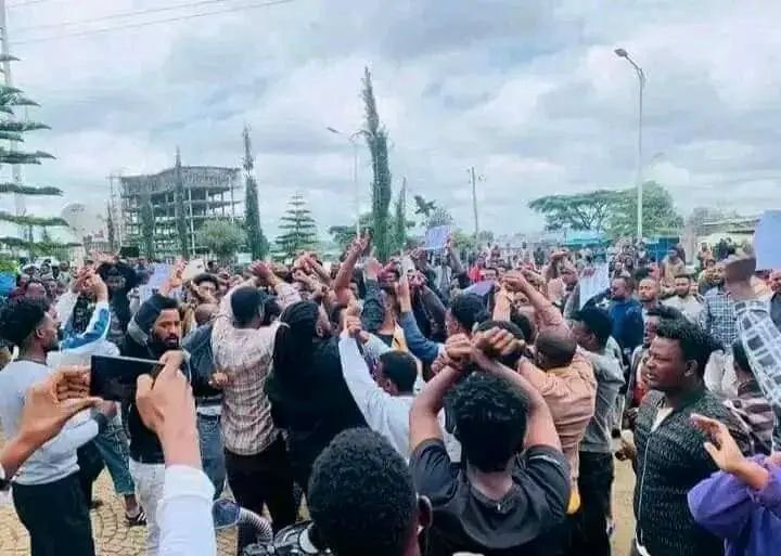 RasAsteraw's tweet photo. ሀገሪቱ በተለያየ አካባቢ በኦነግ መራሾ አስተዳደር በቃኝ ብላለች ይሄ ደሞ የከምባታ ህዝብ ተስፋፊውን ኦሮሙማ ስርዓት በመቃወም አደባባይ የወጣ ህዝብ ነው።

ህዝብ በቃኝ ብሎሀል አትክልቱን ታስተዳድረው እንደሆነ እናያለን!!! https://t.co/3ribkoMAgX