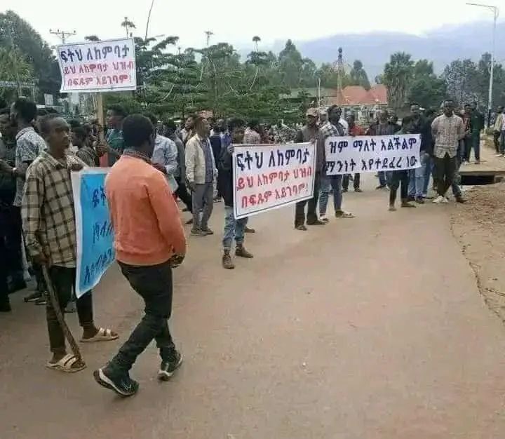 RasAsteraw's tweet photo. ሀገሪቱ በተለያየ አካባቢ በኦነግ መራሾ አስተዳደር በቃኝ ብላለች ይሄ ደሞ የከምባታ ህዝብ ተስፋፊውን ኦሮሙማ ስርዓት በመቃወም አደባባይ የወጣ ህዝብ ነው።

ህዝብ በቃኝ ብሎሀል አትክልቱን ታስተዳድረው እንደሆነ እናያለን!!! https://t.co/3ribkoMAgX