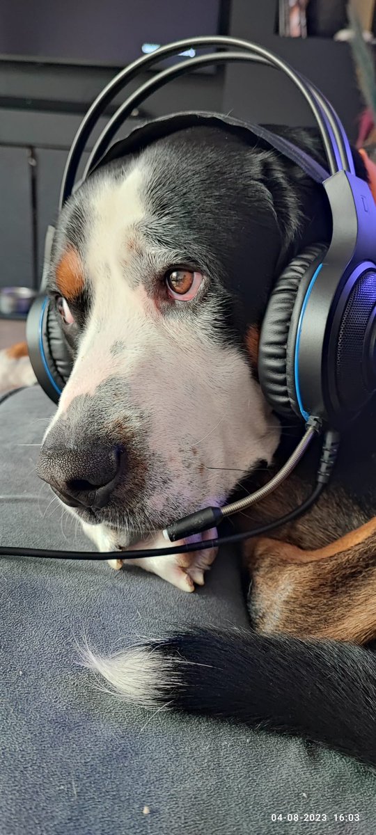 Goedendag met Bentley van het UHT. Owww u stond ook al uren in de wacht. Mijn excuses alle collega's zijn op vakantie en daarom ben ik er. 
Misschien kunt u na de zomer even terugbellen? 
#gedupeerdehotlijn #bloedhondisermoevan #wachttijden #duurtlang