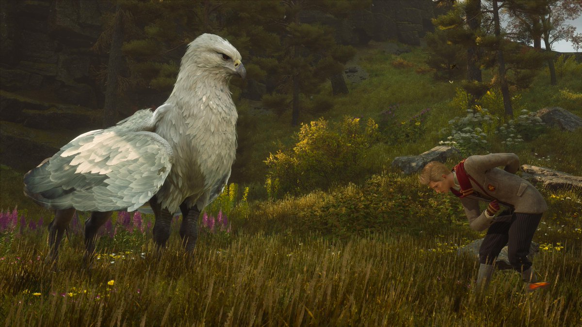 Yvan Christinet tweet media