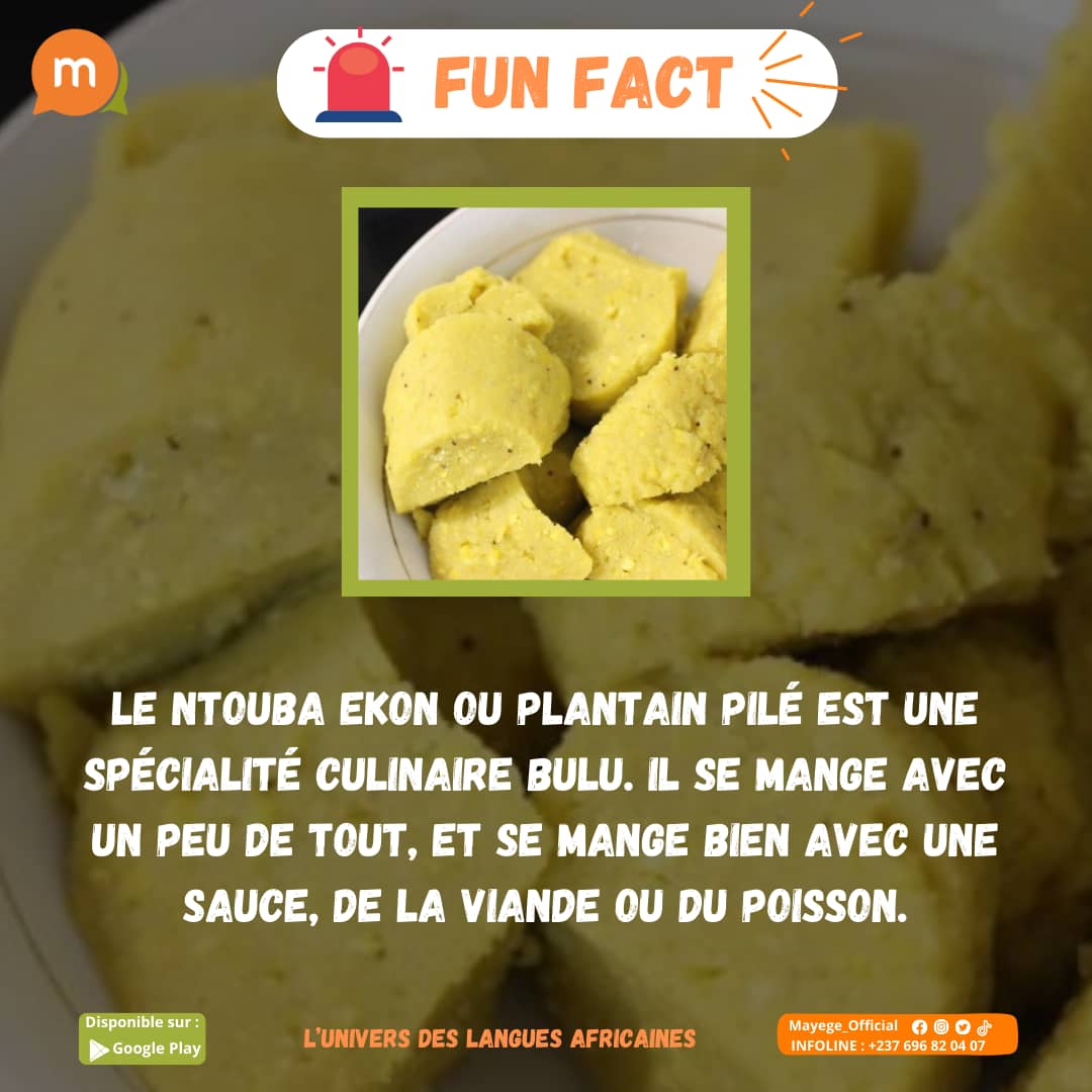 mayege_official's tweet image. On parle comme ça notre continent ci est riche massah 😍👌🏾
Mayegan tu as déjà tchop cette merveille du Sud Cameroun? Si oui avec quelle sauce?🙂🤤

Votre application de la gloire glorieuse est toujours disponible sur Playstore 😉

#Mayege #Bulu
#LanguesAfricaines