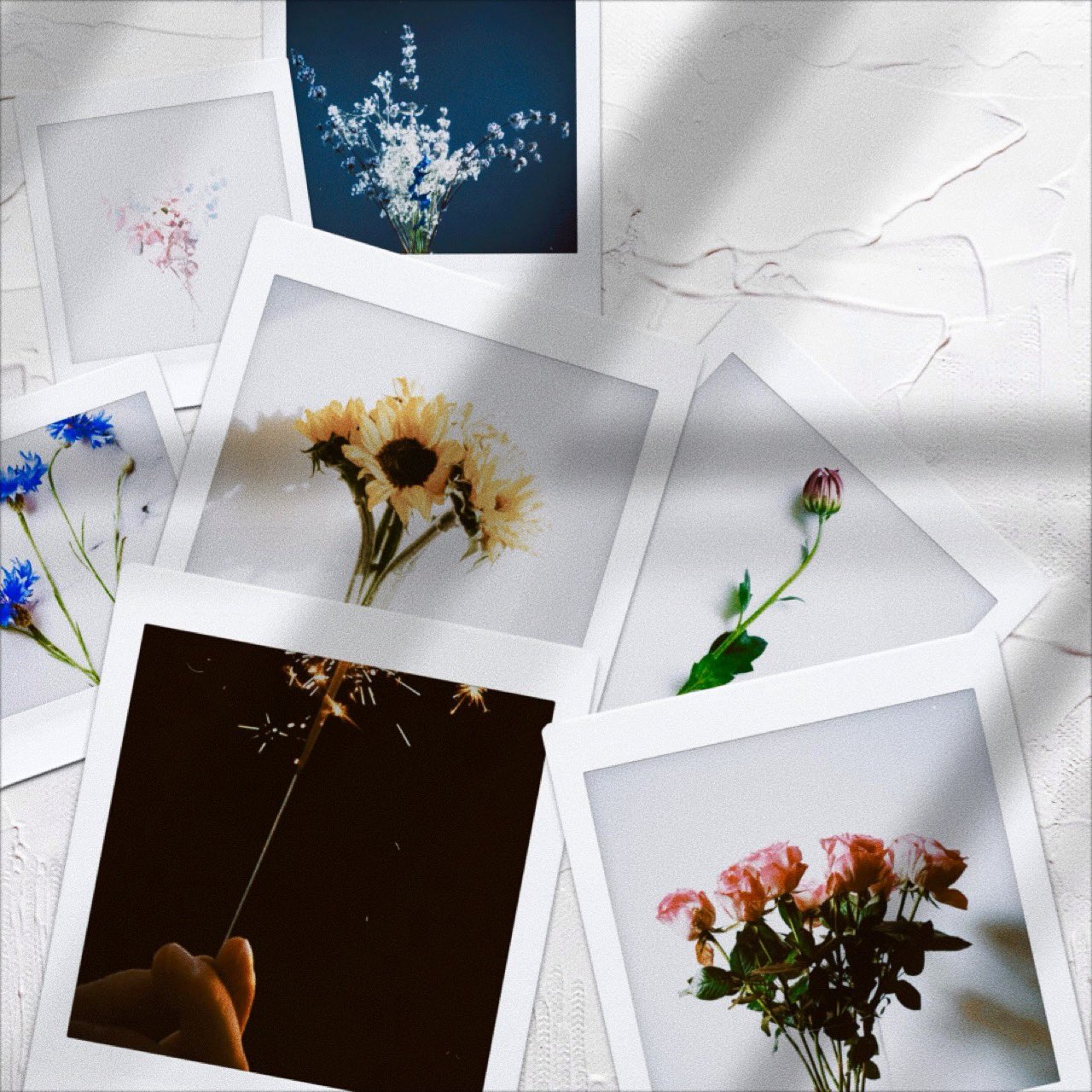 花＊花ページ クラフトパンチ春のお花と葉っぱのセット〜たんぽぽ デイジー