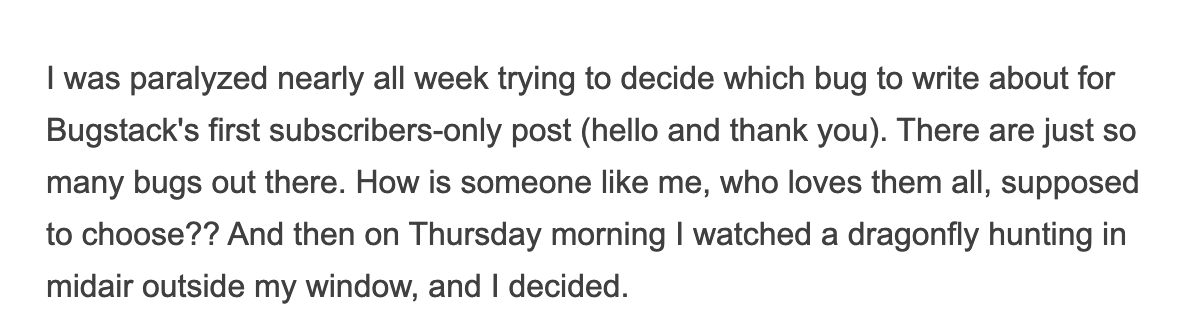 ezwrites's tweet photo. If you don't subscribe to @stefabsky's Bugstack you are missing out on pure fucking joy https://t.co/4yHspgLA5a