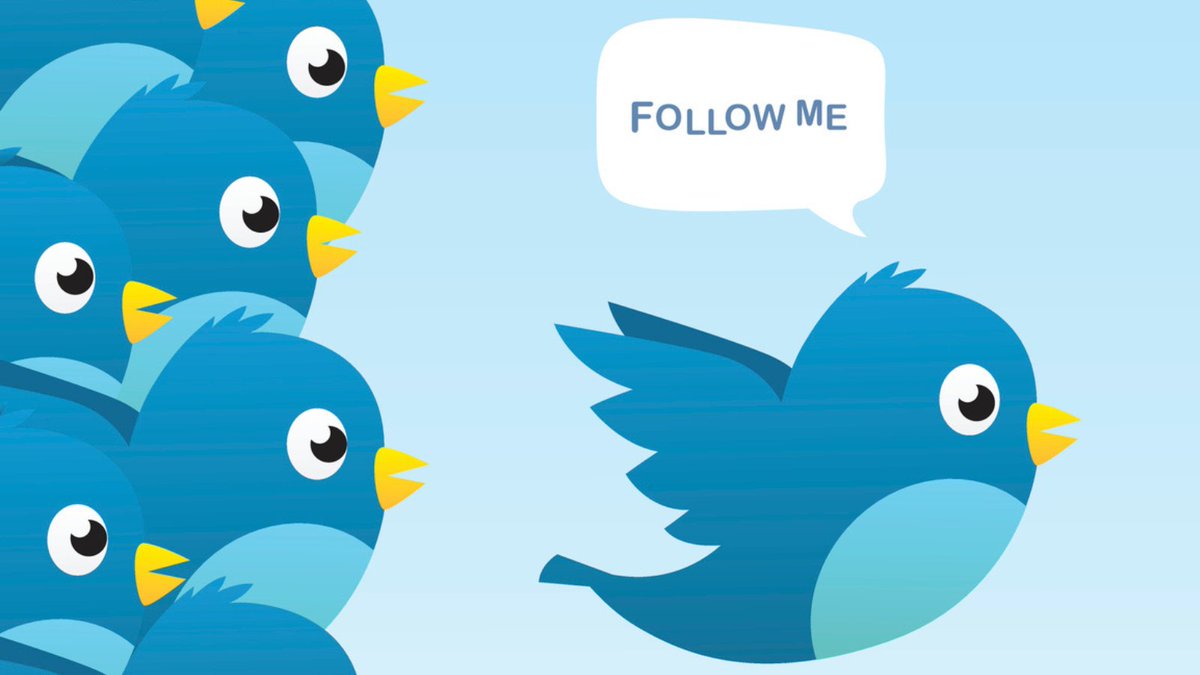 Thanks for the memories original Twitter founders and crew! Sad to see this soul going now, too.🦜😢

So many good business connections were found here. 
Laughs about various pop culture topics. 
Most importantly all of the up to the minute news about local weather, emergencies,