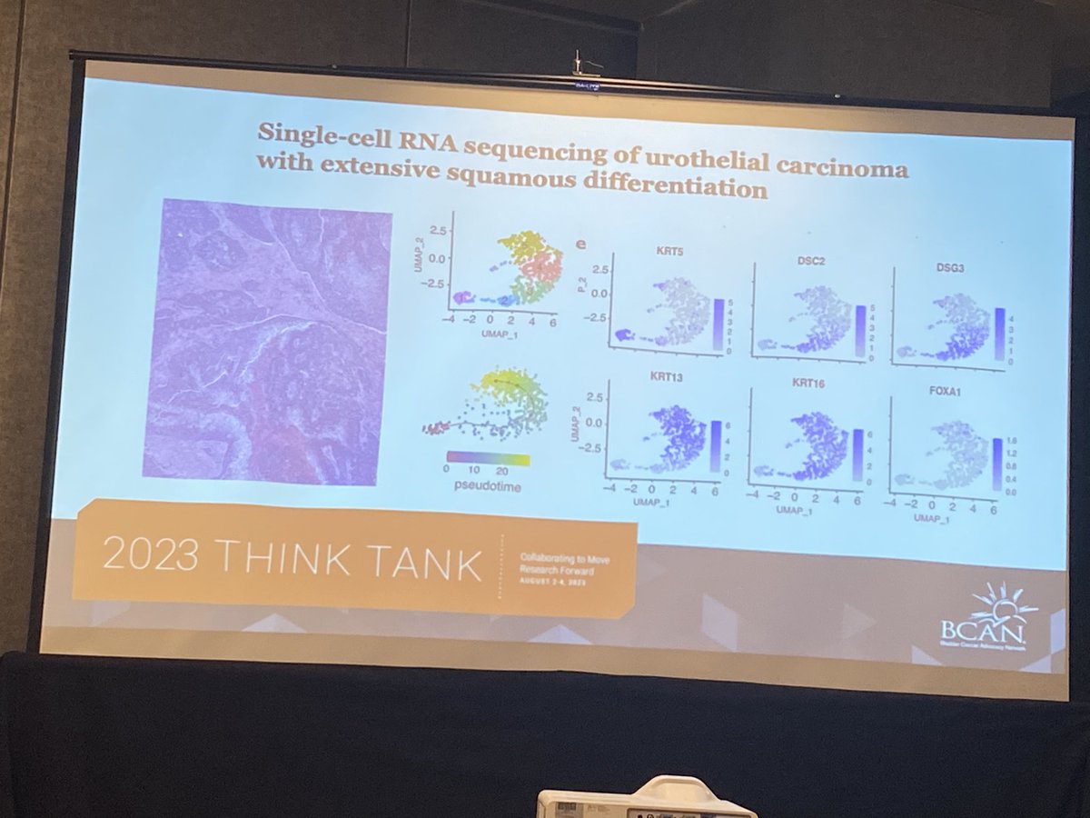 Andrea Apolo, M.D. tweet media