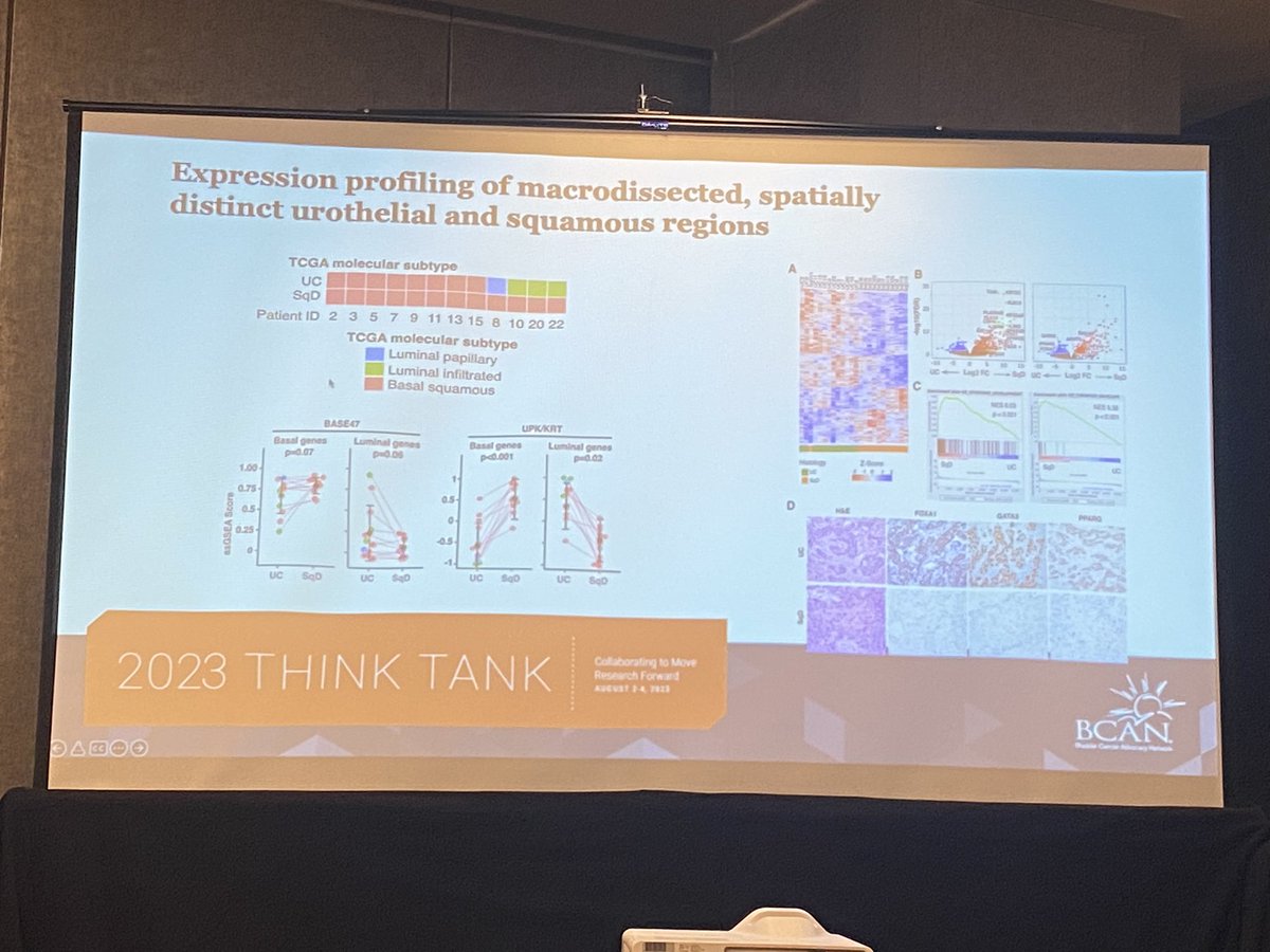 Andrea Apolo, M.D. tweet media