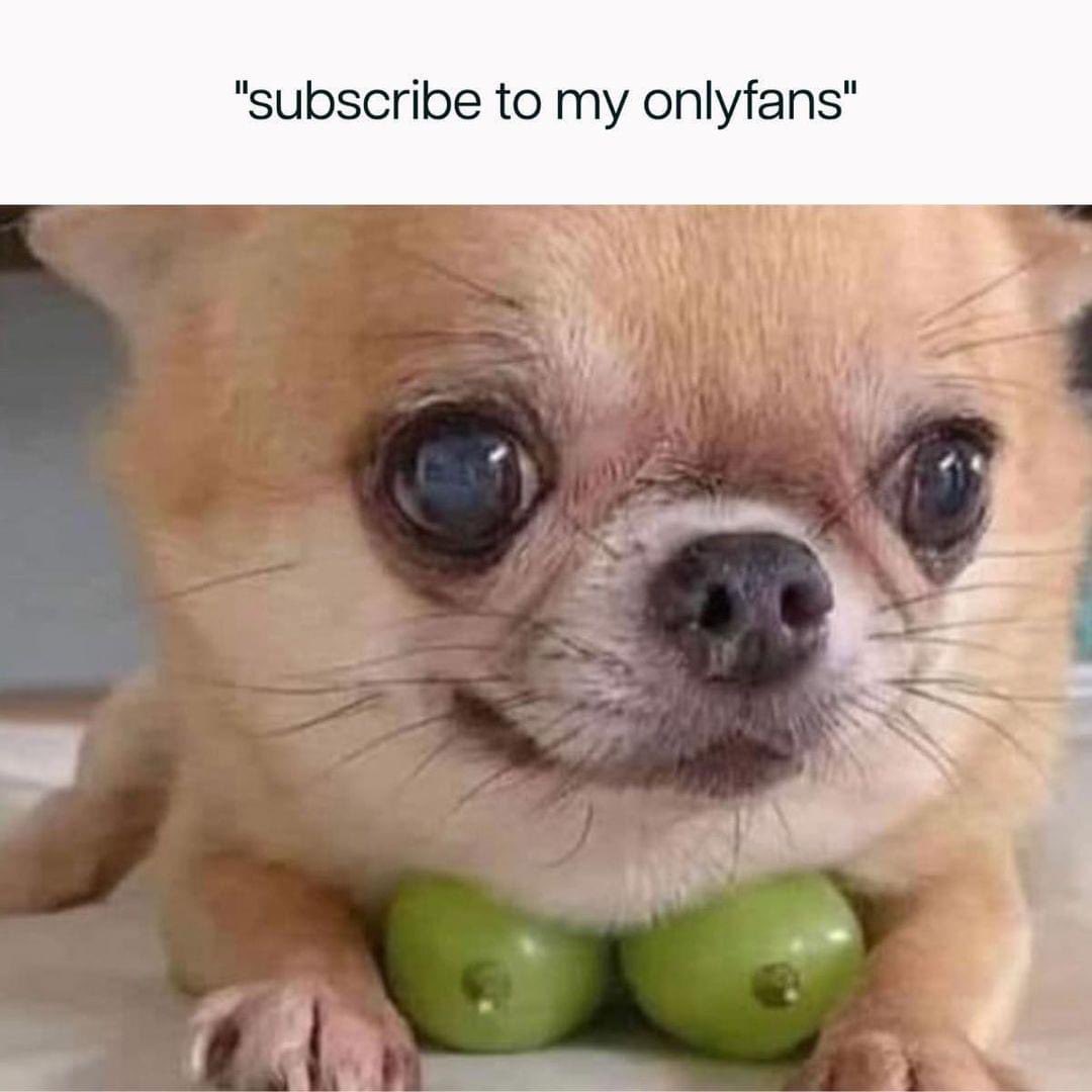 Danny Obrien tweet media