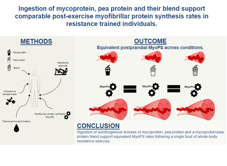 APS Publications (@apspublications) on Twitter photo New in <a href="/AJPEndoMetab/">AJP-Endocrinology and Metabolism</a>: Sam West et al. showed that three non-animal derived #protein sources have utility in supporting post-exercise muscle reconditioning.
ow.ly/sCG750PsNxT
<a href="/UniofExeter/">University of Exeter</a> <a href="/utmbhealth/">UTMB Health</a> #mycoprotein #peaprotein #resistanceexercise New in <a href="/AJPEndoMetab/">AJP-Endocrinology and Metabolism</a>: Sam West et al. showed that three non-animal derived #protein sources have utility in supporting post-exercise muscle reconditioning.
ow.ly/sCG750PsNxT
<a href="/UniofExeter/">University of Exeter</a> <a href="/utmbhealth/">UTMB Health</a> #mycoprotein #peaprotein #resistanceexercise