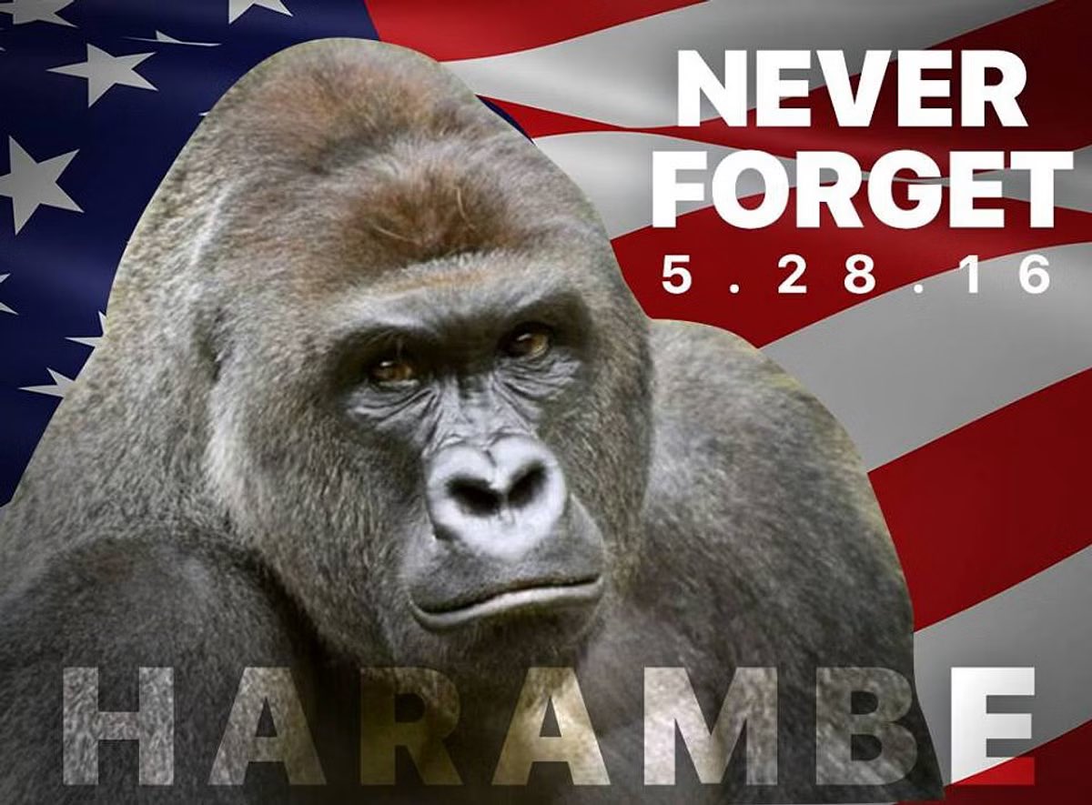 MRichspirit's tweet photo. @TechAnthroPro @fasc1nate It’s still too soon. Here’s to a real American hero wrongfully put down for doing what’s right. https://t.co/WzCeh77pBX