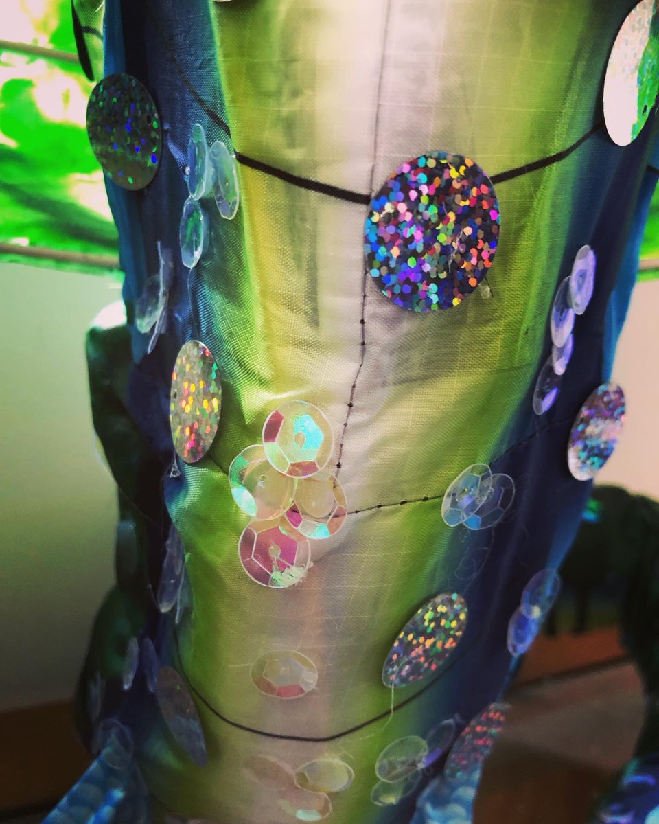 Thomas Taylor tweet media