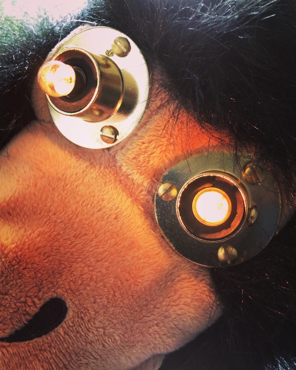 Thomas Taylor tweet media