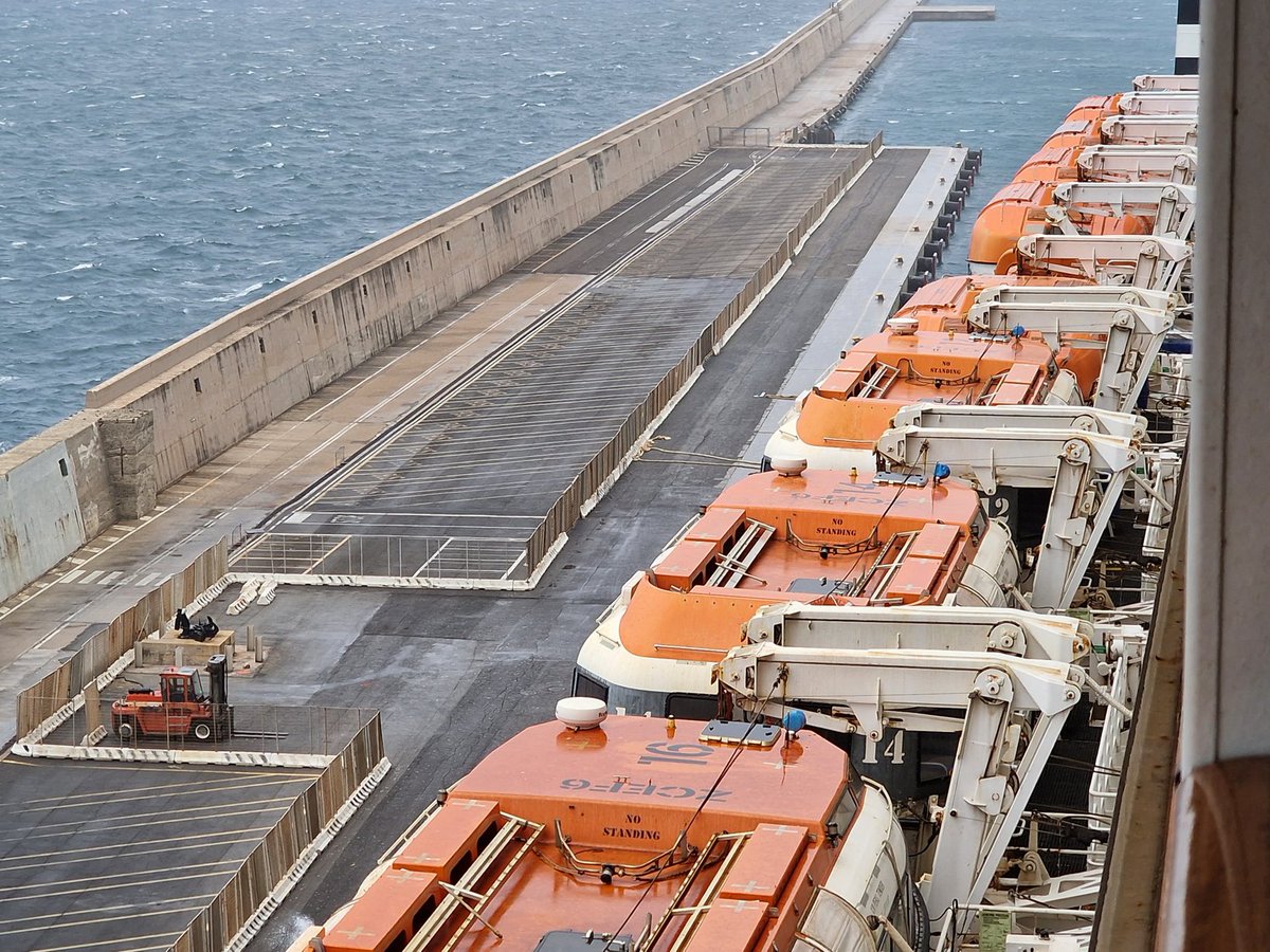 Patricia Dempsey tweet media