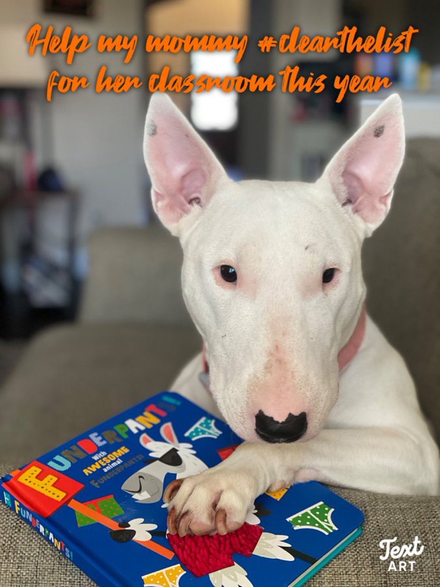 Hailey Brannon tweet media