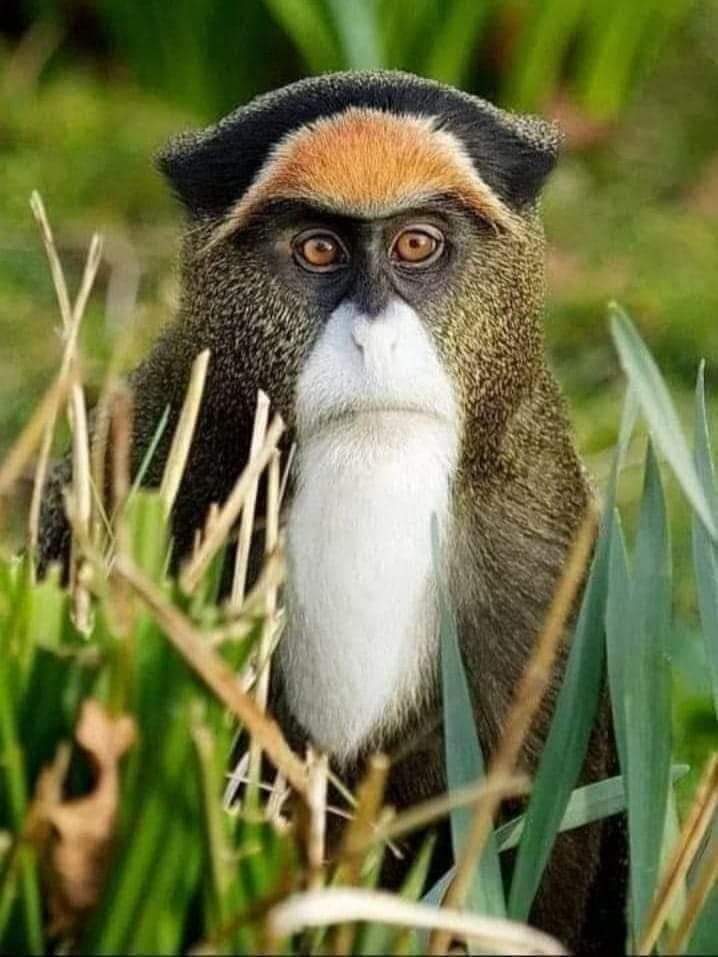 KishorMathpal's tweet photo. पहाडियों से पेले जाने के बाद भट्ट जी शाम का इंतजार करते हुए 😜🤣🤣
मिस यू
आलू भात
For
#AllWeatherRoad
#Demographi https://t.co/YRodAal2N8