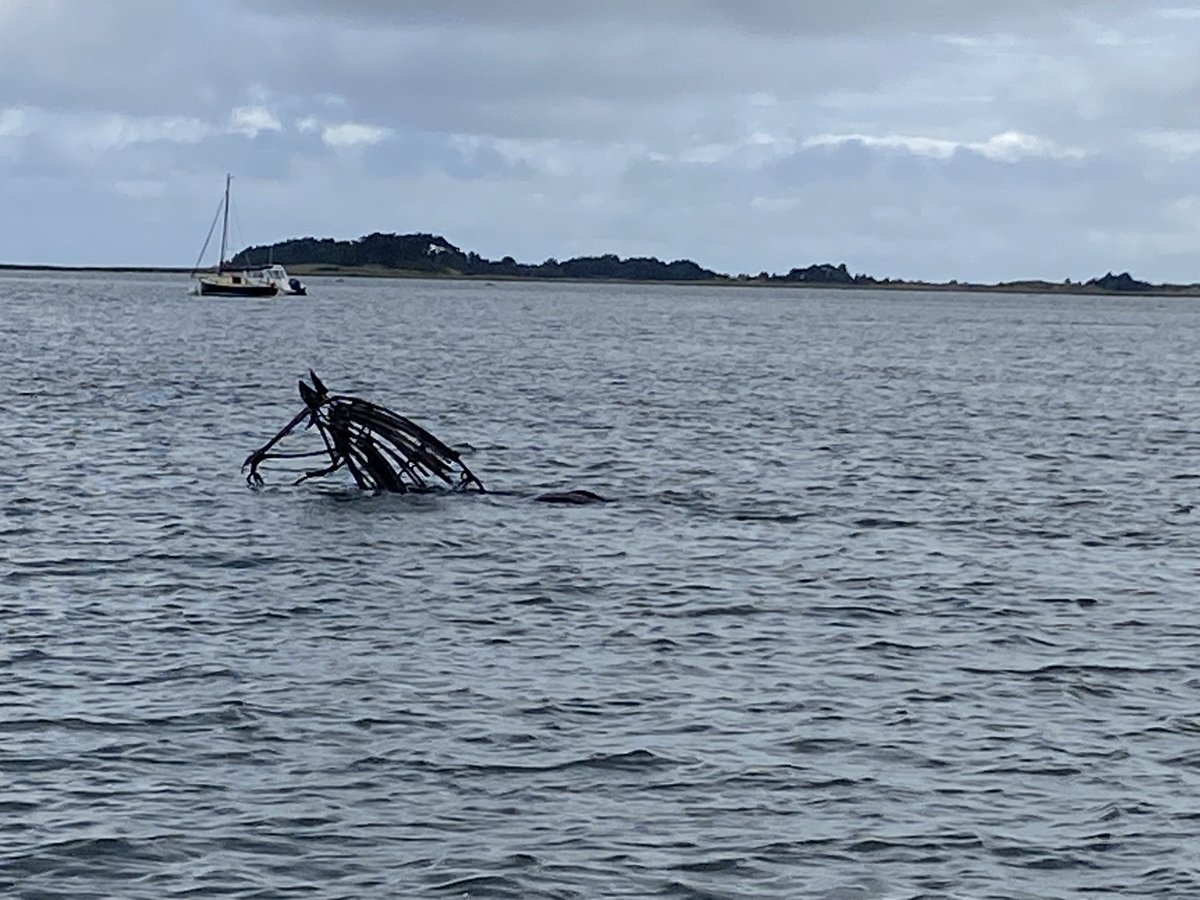 Wells Harbour Master tweet media