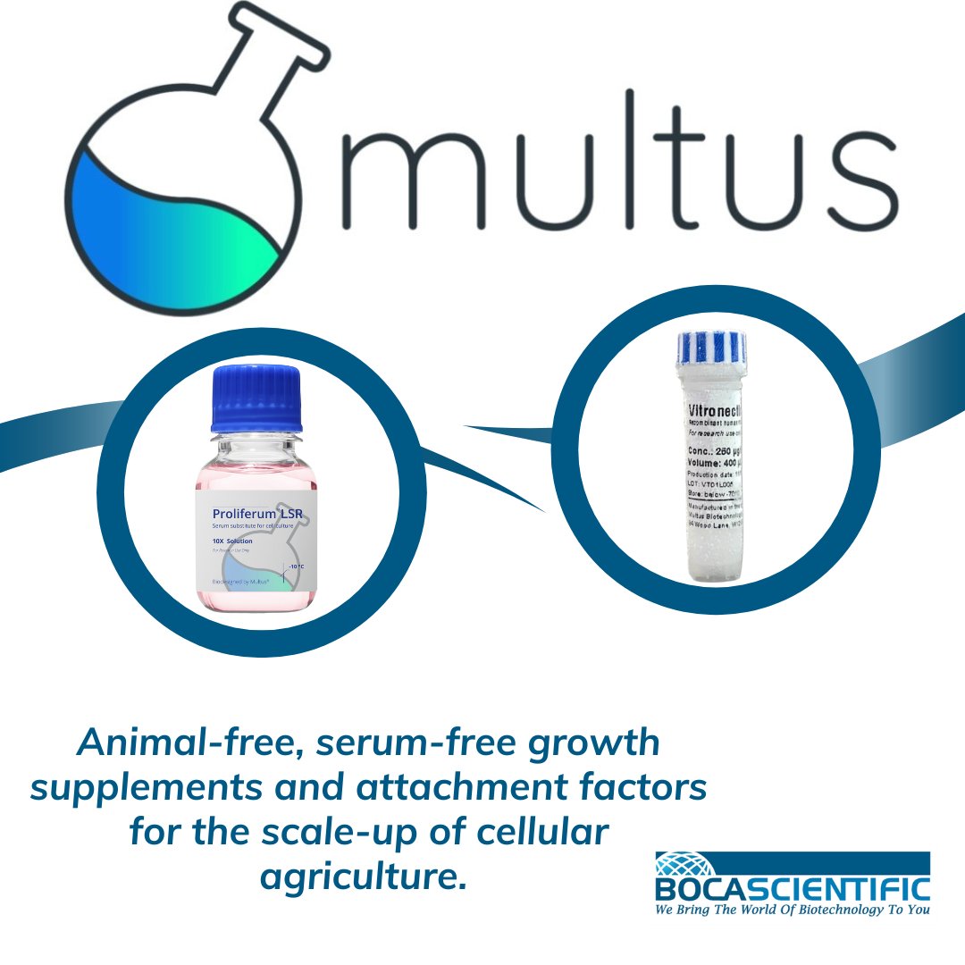 Boca_Scientific's tweet photo. We are pleased to announce the addition of @multusmedia to our portfolio! Multus offers outstanding animal-free, serum-free growth supplements and attachment factors for the scale-up of cellular agriculture. #cultivatedmeat 

See Multus on our website: https://t.co/iBIXaxogQH https://t.co/0STYuRnxJc
