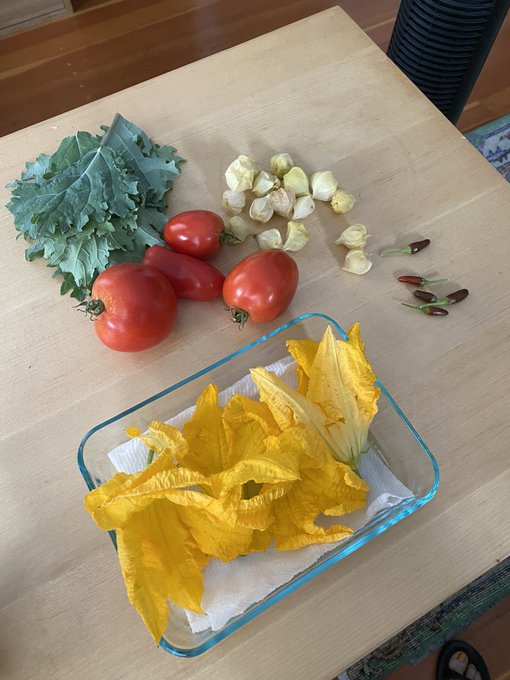 this morning&rsquo;s tiny harvest https://t.co/t2DP2n3AHf<a href="/tag/taboo"class="tags"><span>#taboo</span></a><a href="/tag/crossdressing"class="tags"><span>#crossdressing</span></a><a href="/tag/wristwatch"class="tags"><span>#wristwatch</span></a>