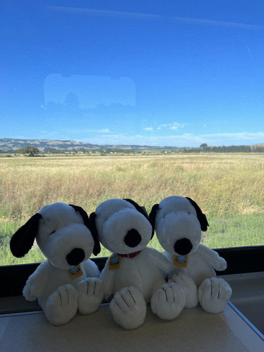 jxiaoo's tweet photo. Girls trip https://t.co/I0emQkI9j6
