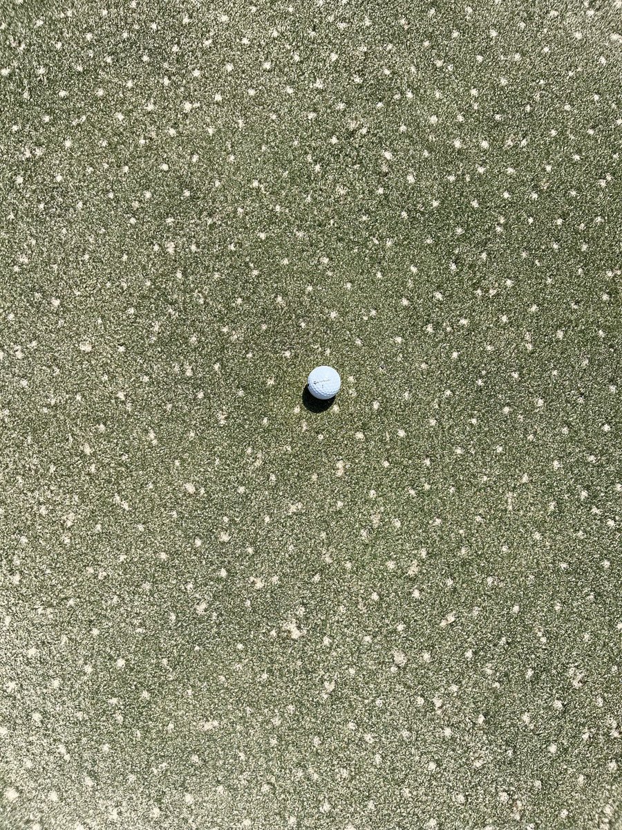 GPattiTurf's tweet photo. August aerification ✅ https://t.co/zrBQvSjhIl