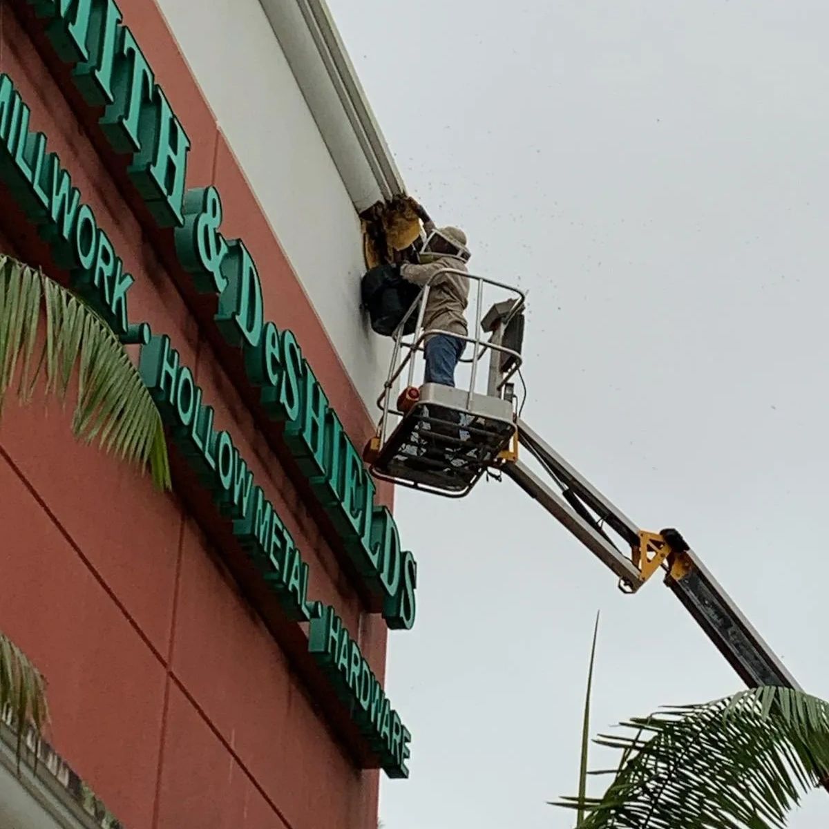 NelsonBeeRemove's tweet photo. When you put quality bee removal and awesome customer service first, you can only end up with one company: Nelson's Bee Removal, LLC. https://t.co/vFjN6OUxQk