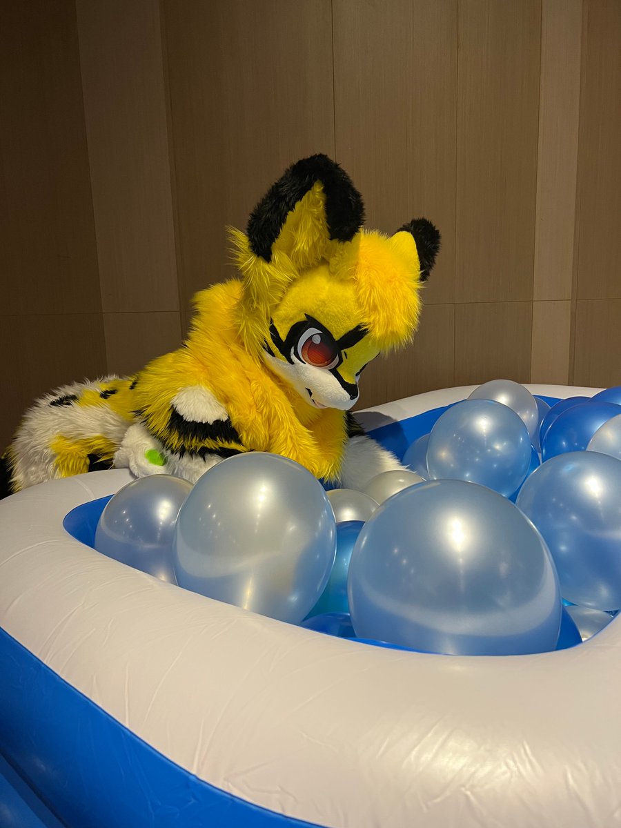 irriforrest's tweet photo. 東西掉進去了...找不到...

Dropped something in there... and I can't find it...

📷: @ocarwolf

#FursuitFriday  #FurMIT2023 https://t.co/ILcSaGJnjK
