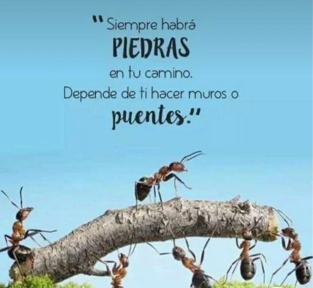 MARIMENER_23's tweet photo. Excelente viernes 😉🌺 https://t.co/TFLTe1sDGE