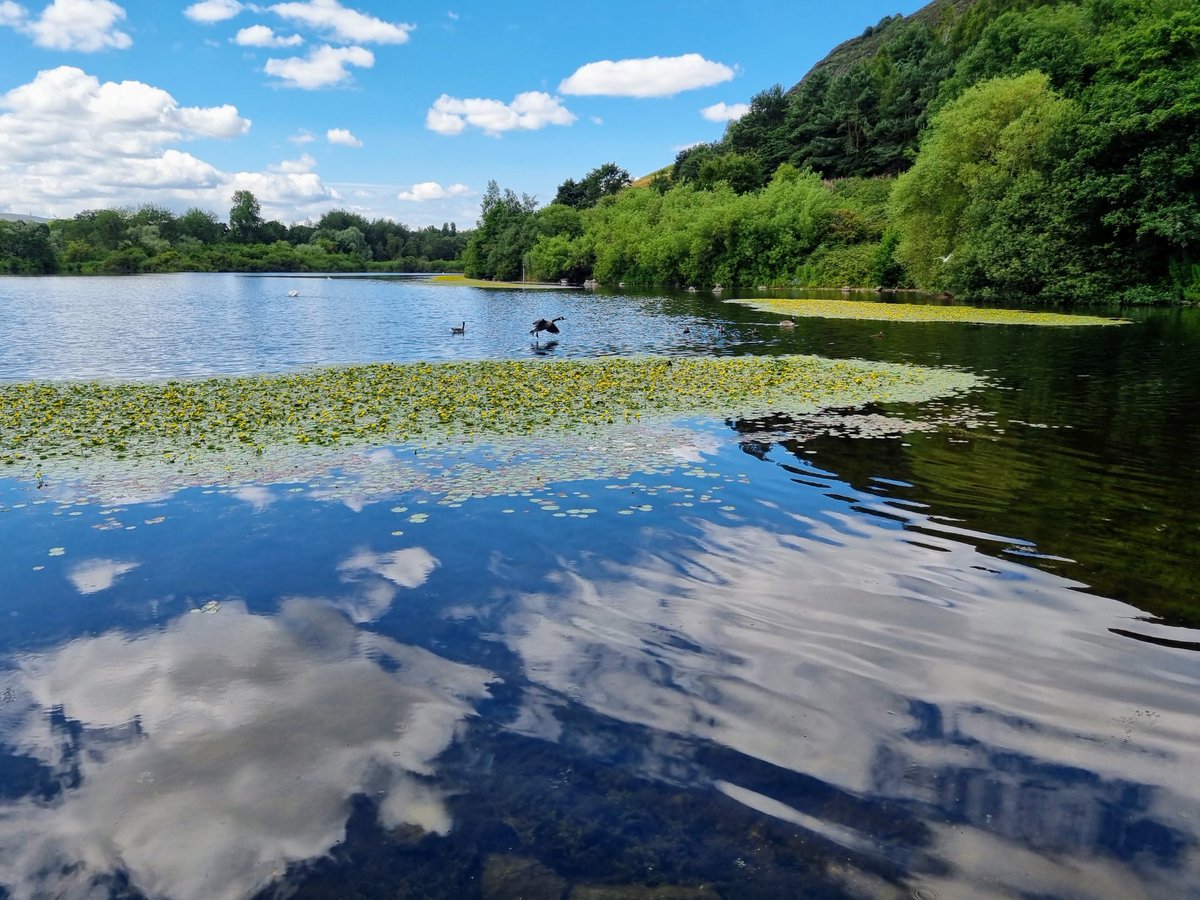LStewart_books's tweet photo. Clouds on Duddingston Loch
#clouds #weather #Friday #weekend #nature #photo https://t.co/Fys7a6SB3W