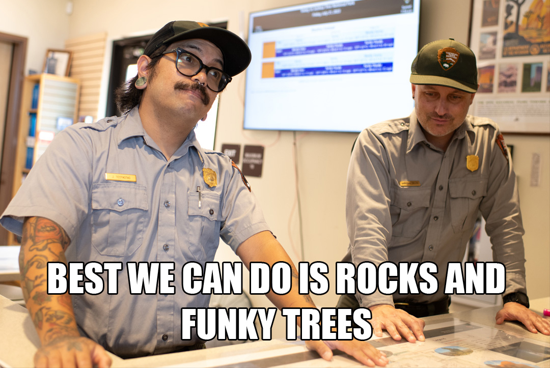 Joshua Tree NPS tweet media