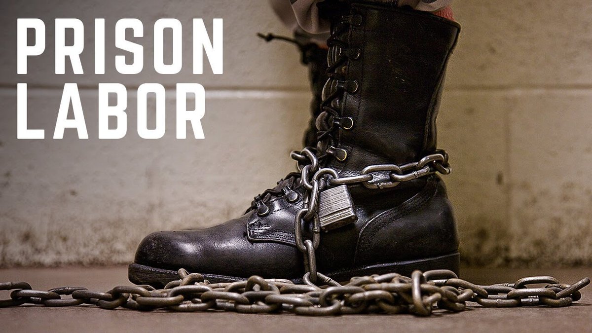 Prison: Day 6,075
"Nobody is coming here [to this prison] and going to school full time. They're gonna work, and maybe they can do night classes." Words spoken by a high-level admin., after I shared interest in working on my next degree. Should prisoners be forced to work?