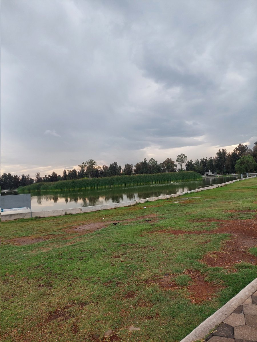 robotrusia's tweet image. #PoderosoPlus Buenos dias ☁️☁️☁️