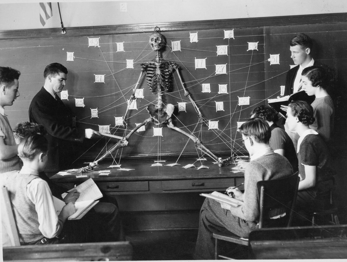 For today's #ArchivesHashtagParty #ArchivesScience, we've got spooky scary skeletons 👻
Image from a biology class at a 'Portland public school, OR,' 1939, taken by a WPA photographer.