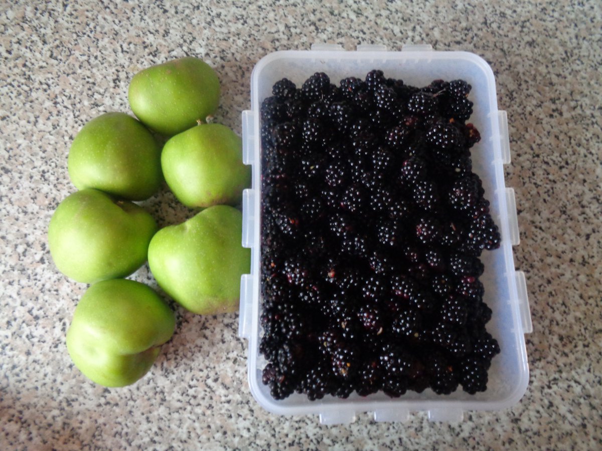 HelenRo88542779's tweet photo. ๐It's that time of year again!! ๐ค๐#FreeFood #Foraging #Blagging #Walking #apple #blackberry #Crumble https://t.co/Spf3mJ82FB