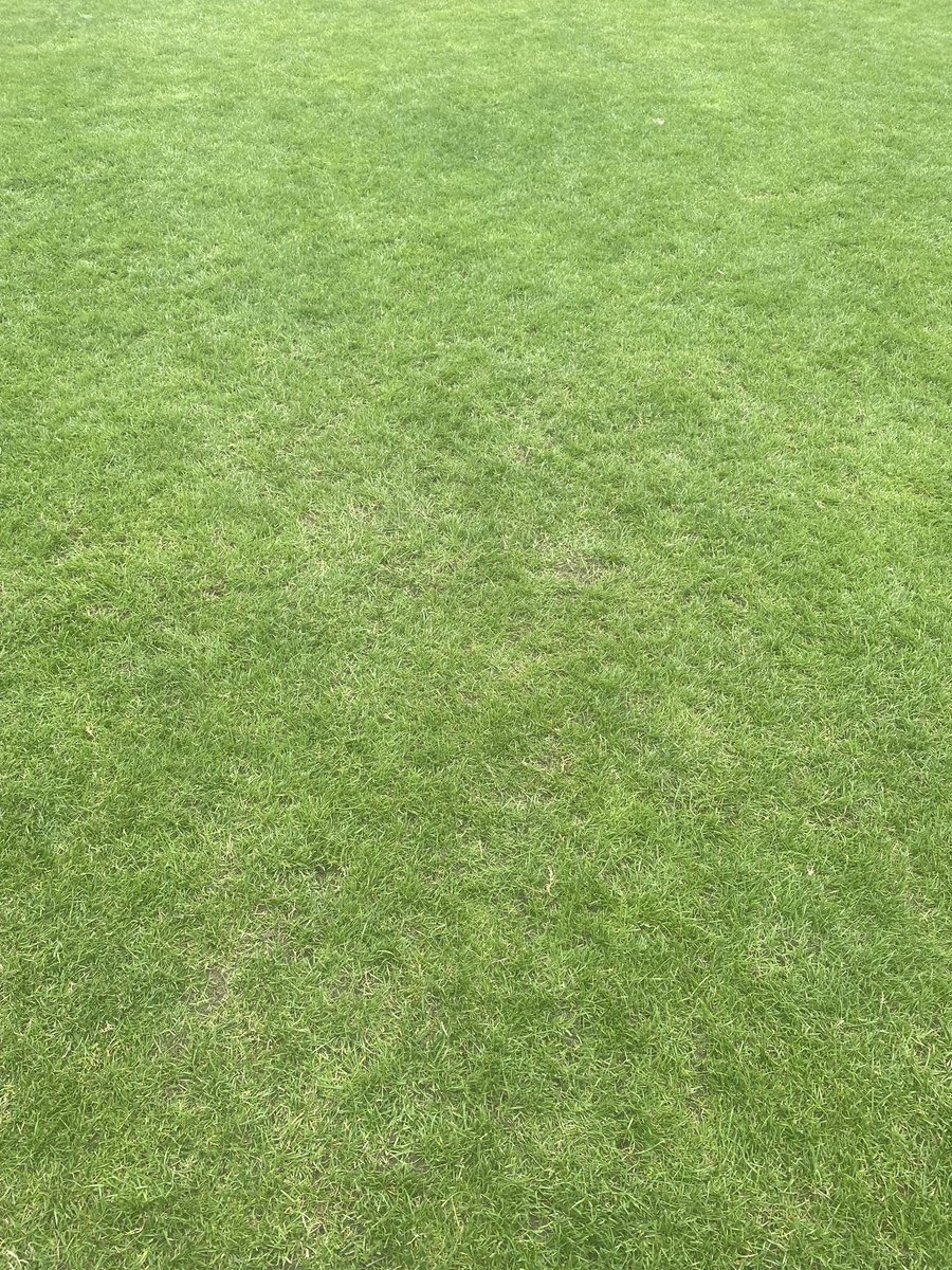 MarkyP MDPGroundcare tweet media