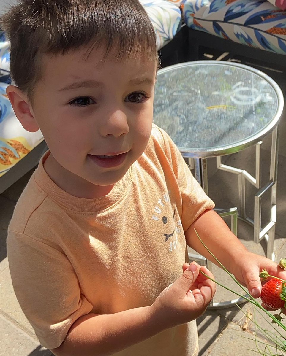 You just can't beat homegrown strawberries on a Friday morning 🍓

What's your favorite fruit or veggie that you're growing right now?

📸: kimmiekfitz on Instagram