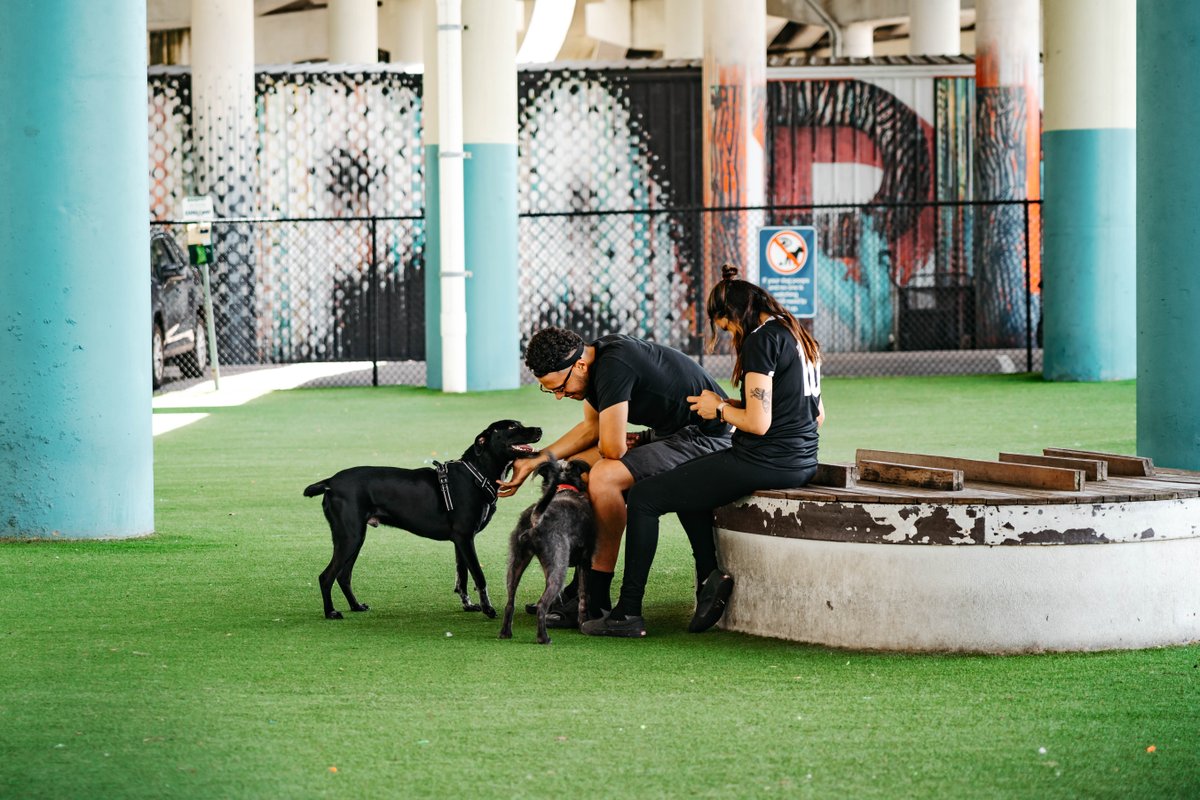 THEASelmon's tweet photo. It's super hot out BUT, the Deputy John Kotfila Jr. Memorial Dog Park is shaded by the Selmon Expressway and has evening lighting! Come out for an after-work play date and meet your neighbors. #ActivatingSpaces #SelmonGreenway #WalkBikeDrive https://t.co/sfZJbx5a4I https://t.co/UejMgSHDhM