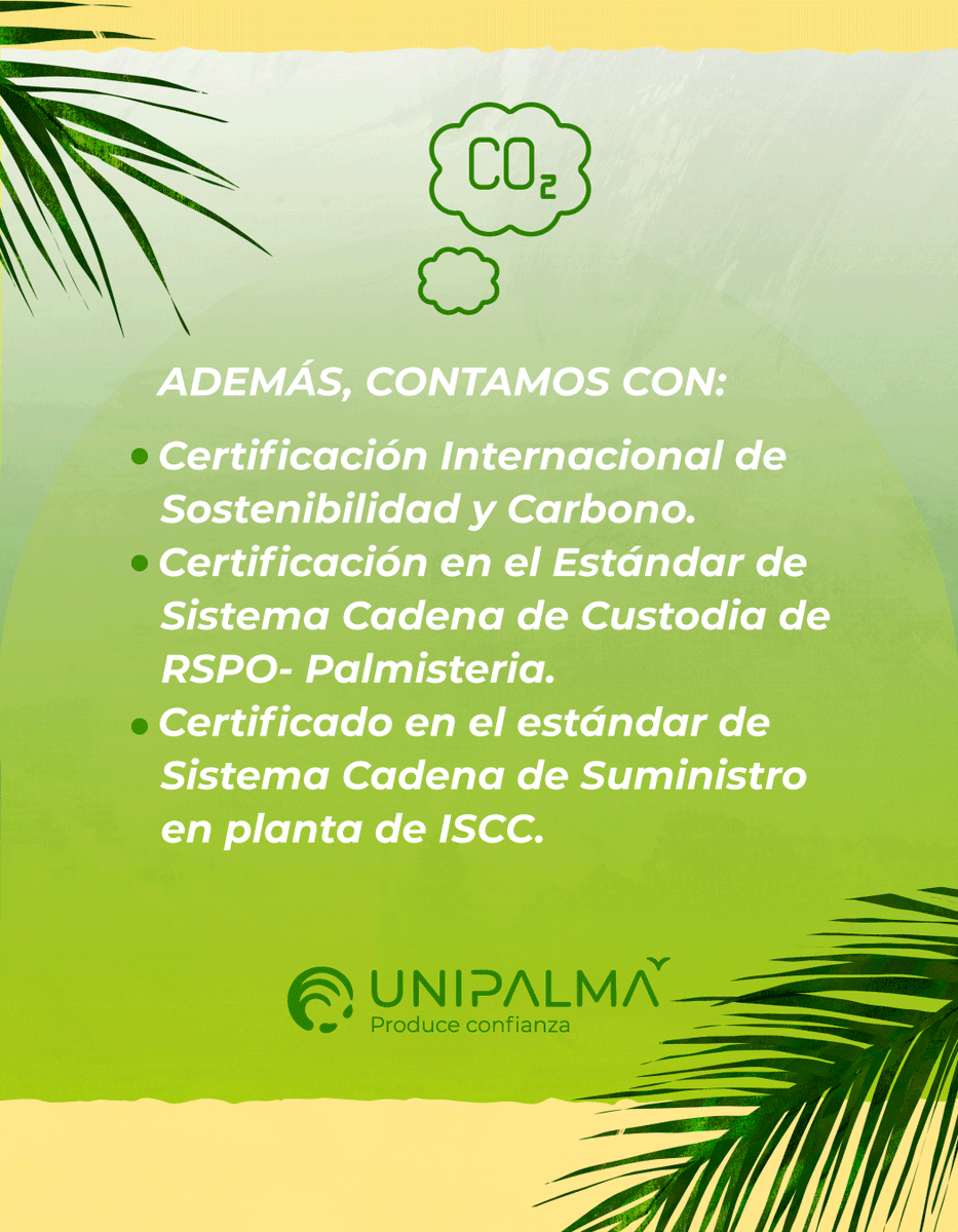 #Unipalma 🌴¡Para 2025 seremos una empresa 👨‍🌾agroindustrialmente sostenible ♻️ que aporte al desarrollo de nuestro país!

Te contamos por qué somos una empresa sostenible 👇

#UnipalmaSostenible #AceiteDePalma #ProductosDePalma
