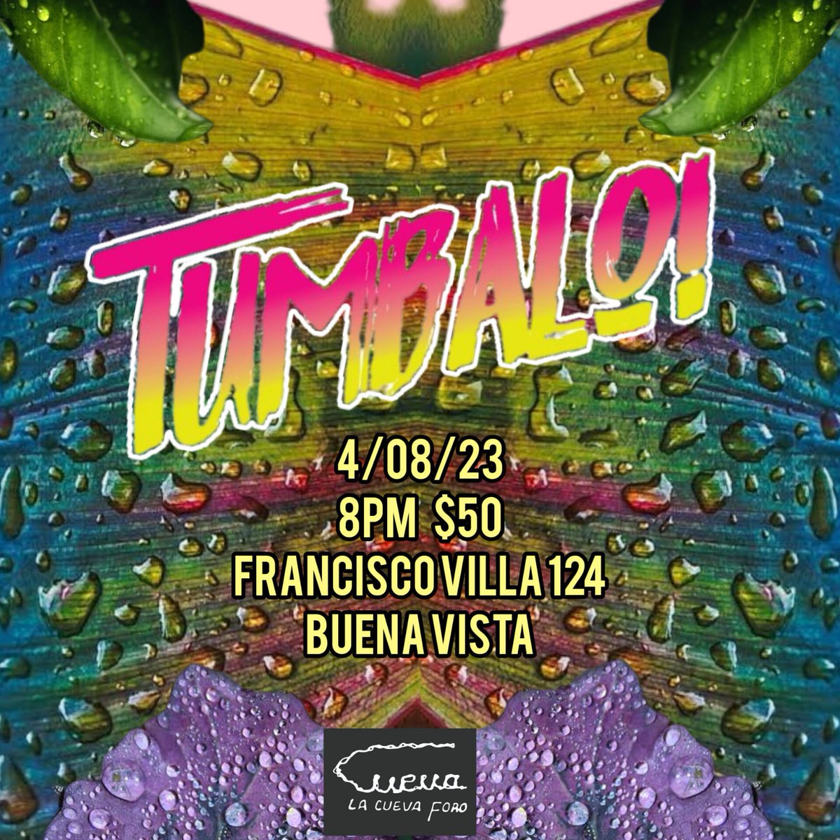 SesarAdjuster's tweet photo. @YODEBUENAS hoy se arma el bailazo vinilero, ojalá puedan acompañarnos

#viernesdechavorucosconmiguel https://t.co/jrwvbqbY0H