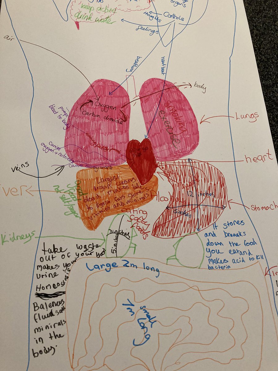 <a href="/OneLifeSuffolk/">OneLife Suffolk</a> <a href="/ExploreOutdoor_/">Explore Outdoor</a> First summer session . Learning together, eating together, being active together 🙌#climbing #axethrowing @AC_Leisure