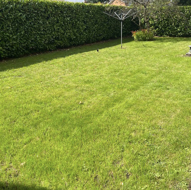 GroundsmanG's tweet photo. You just cant do enough for your current mother-in-law 😉@mowermanjimmy #patchoftheweek https://t.co/sobSwfKLQY