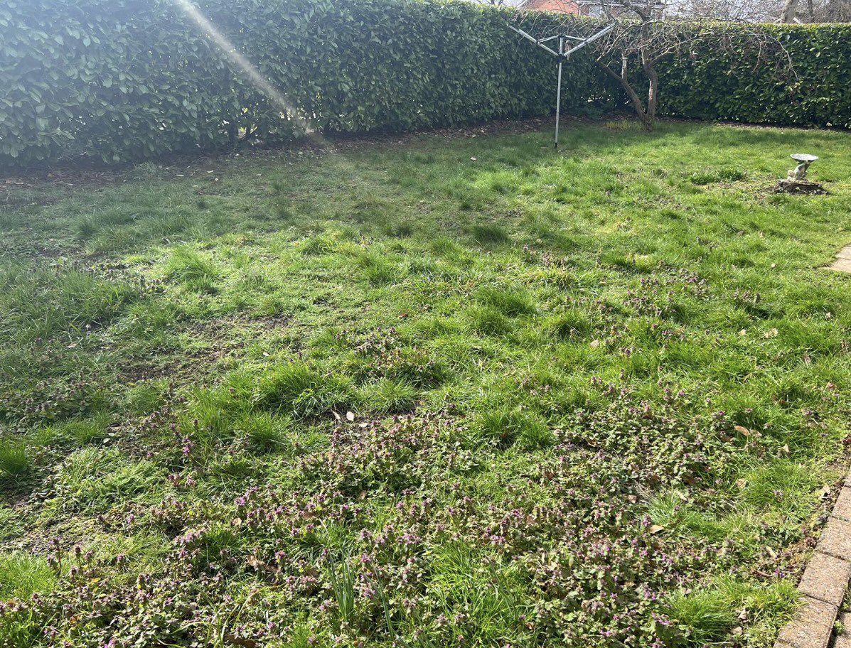 GroundsmanG's tweet photo. You just cant do enough for your current mother-in-law 😉@mowermanjimmy #patchoftheweek https://t.co/sobSwfKLQY